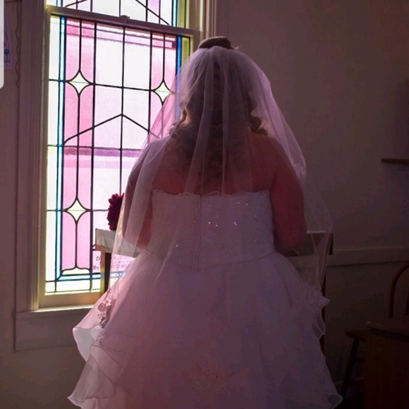 David's Bridal Dresses & Skirts - Wedding dress with also the matching Vail
